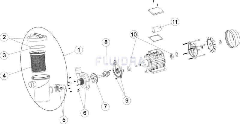 Bomba fiji 4, motor + prefiltro potencia 180W para depuradora gre modelo FA6030/6040/6050 y FS400 - Imagen 2