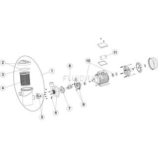 Cuerpo bomba gre fiji 4 FSNP depuradora FS250NP/FS300/FS320 - Imagen 2