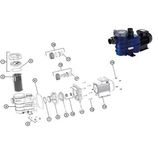 Cuerpo bomba starpurpump - Imagen 2