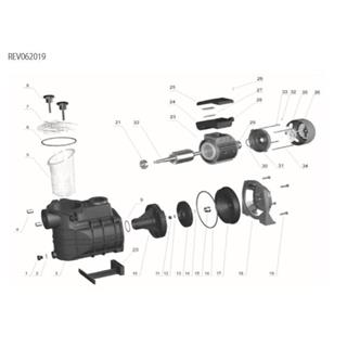 Cuerpo bombas bravia - Imagen 2