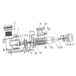 Junta cuerpo interior bomba bricobombazo de Qp - Imagen 2