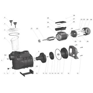 Junta tapa prefiltro bomba bravia 1.5HP/3HP - Imagen 2