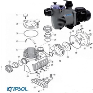 Recambios bomba ks / Kse Krisol de QP