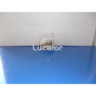 Tornillos skimmer Gre AR 101 MAD y AR 101 - Imagen 1