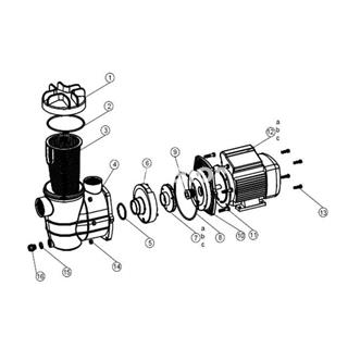 Ventilador bomba depuradora modelo monoblock 300 y 400 - Imagen 2